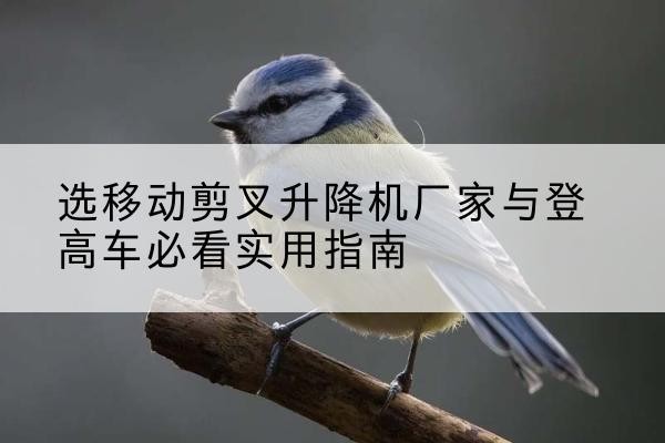石河子电动升降机厂家-选移动剪叉升降机厂家与登高车必看实用指南