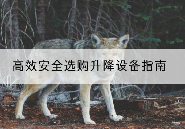 石河子升降货梯厂家推荐-*安全选购升降设备指南